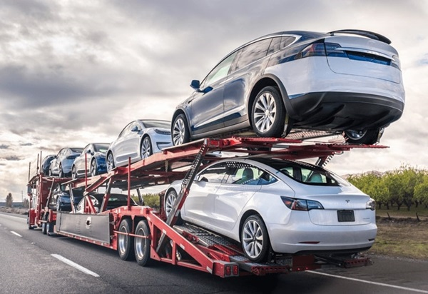 Rydelink Auto Transport 4'