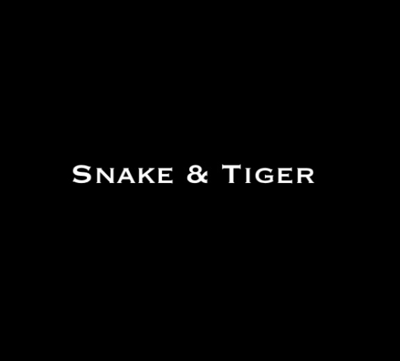 Company Logo For Snake And Tiger Tattoo'