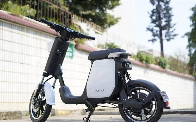Smart Electric Bikes Market'