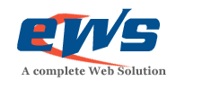 Logo for evolwebsolution'