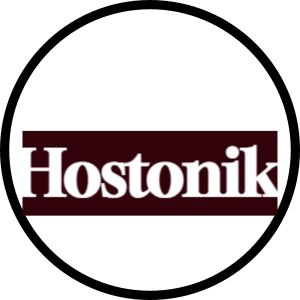 Company Logo For Hostonik - Web Hosting Domain And Email'