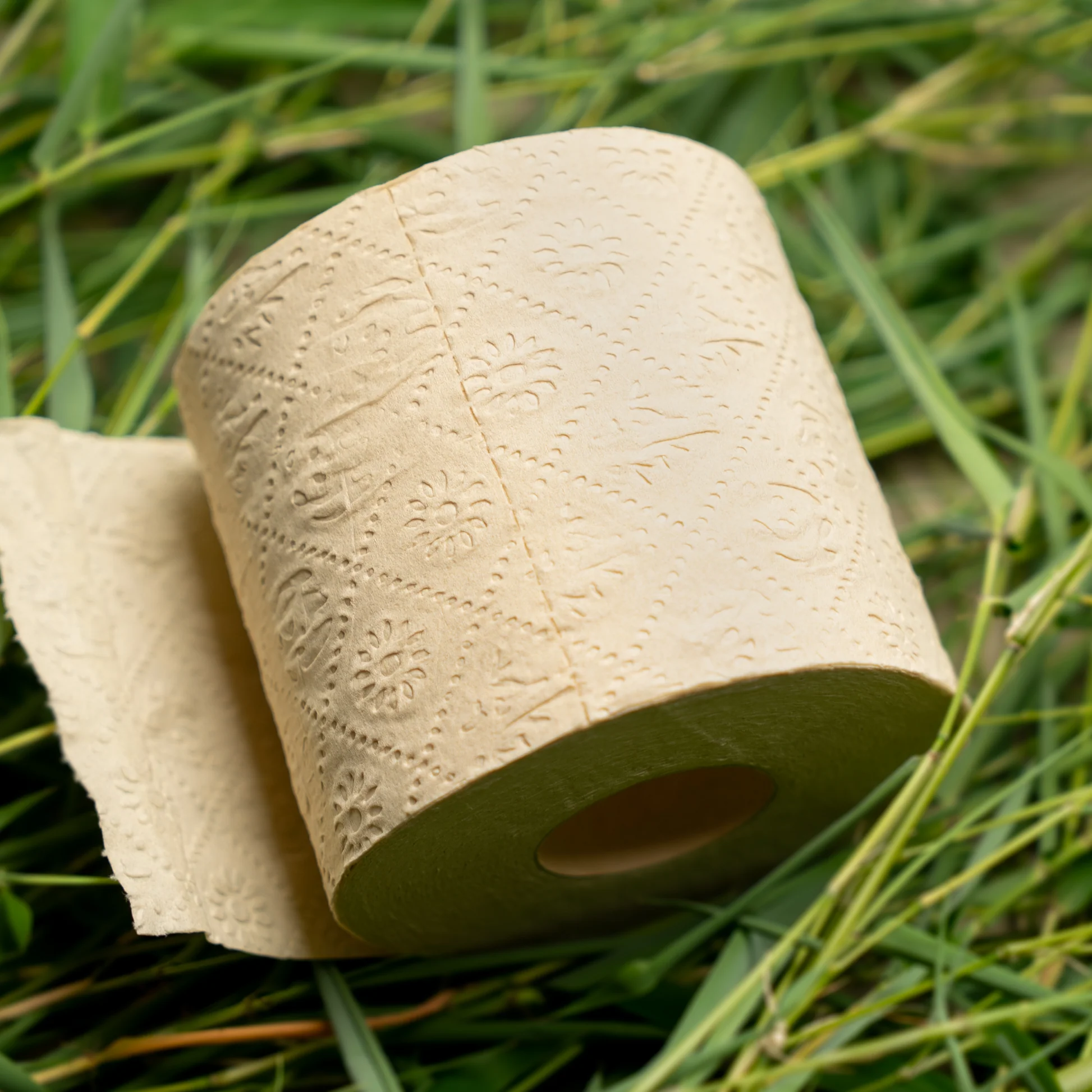 Bamboo Toilet Paper Market to Witness Massive Growth by 2029 : Tesco,  Scott, Cheeky Panda