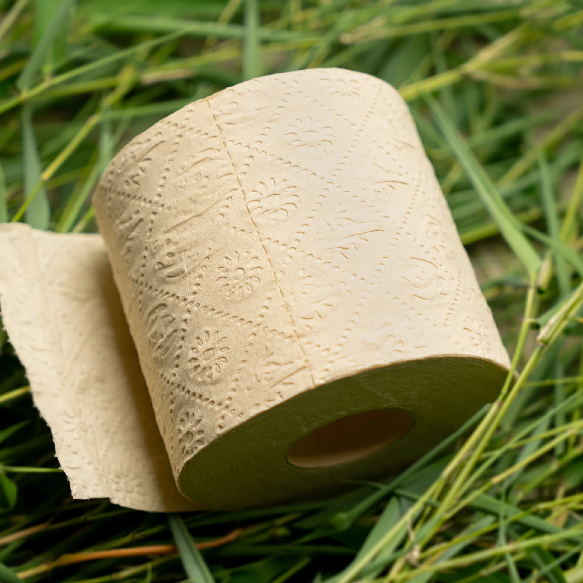 Bamboo Toilet Paper Market