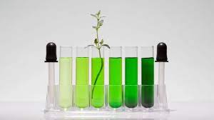 Green Chemicals Market