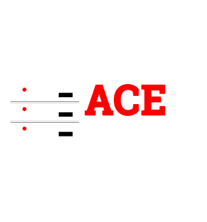 Company Logo For Ace Host'