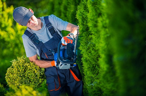 Company Logo For ArboristsDarwin.com.au'