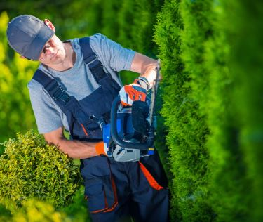 Company Logo For ArboristsBrisbane.com.au'