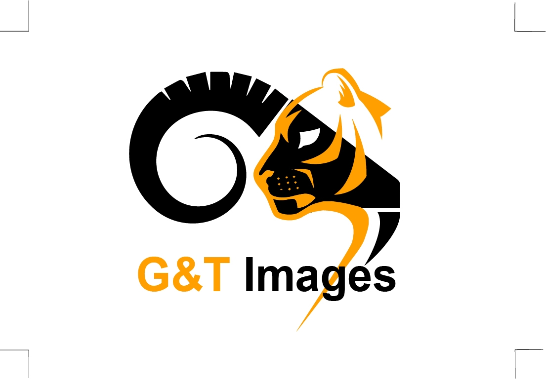 Company Logo For G&amp;T IMAGES'