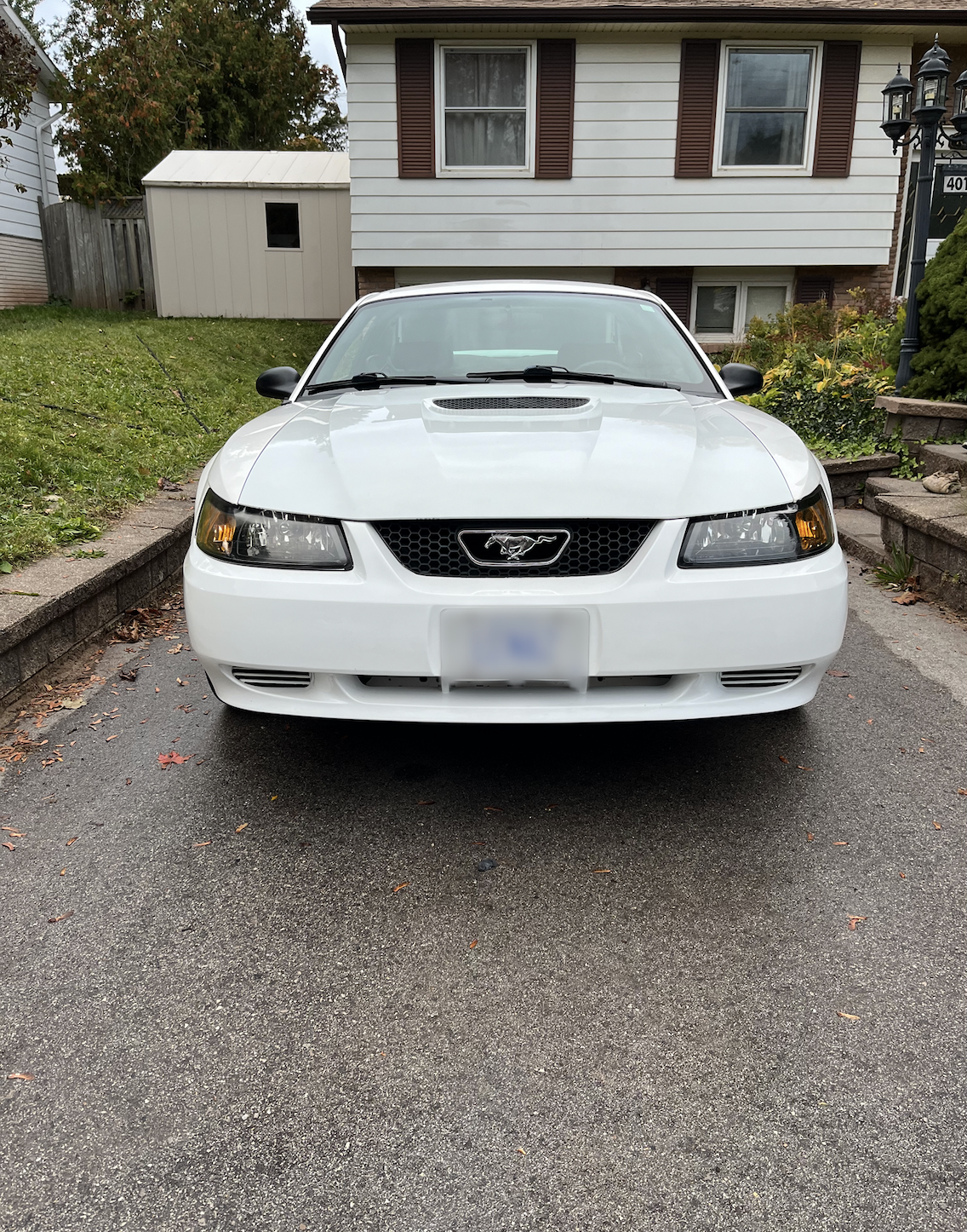 Company Logo For Polaris Detailing'