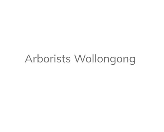 Company Logo For ArboristWollongong.com.au'