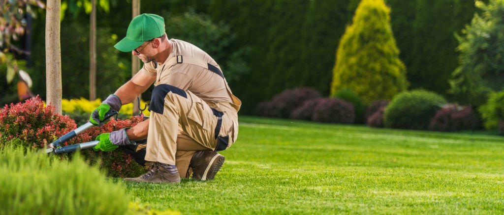 Company Logo For Professional Garden Maintenance'