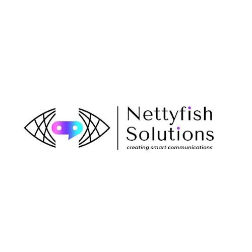NETTYFISH SOLUTIONS PRIVATE LIMITED