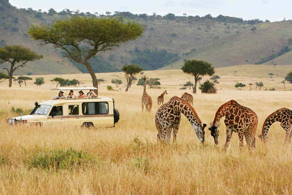 Safari Tourism Market