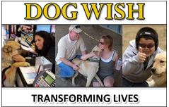 Company Logo For Dog Wish Inc.'