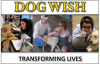 Company Logo For Dog Wish Inc.'