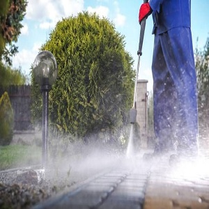 Roof Cleaner'