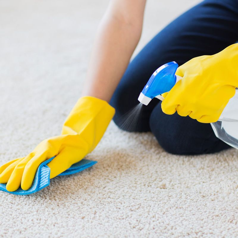 Carpet Cleaning Company'