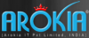 Arokia IT - Leading software development company'