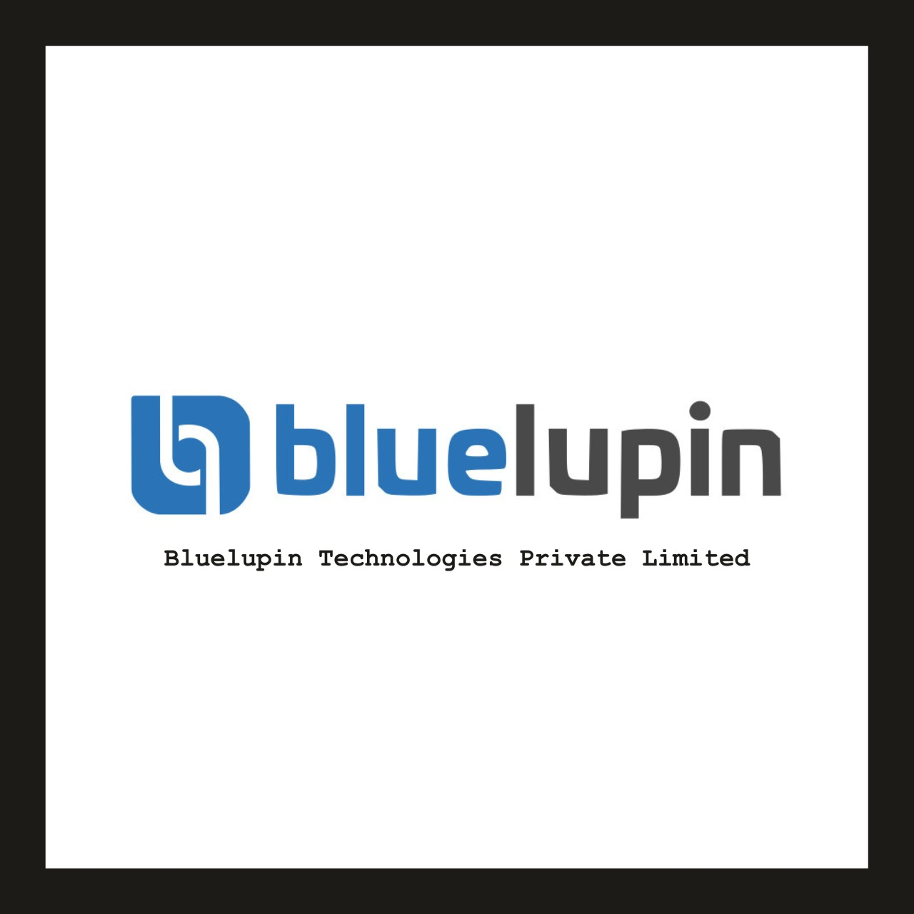 Bluelupin: A digital Consultancy Company'