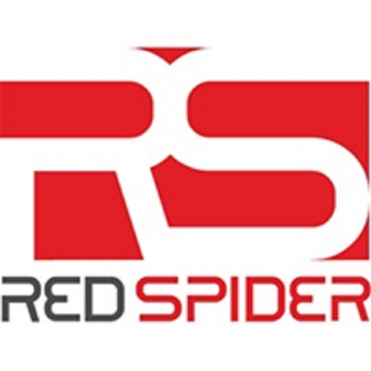 Company Logo For RedSpider Web &amp; Art Design | Web De'