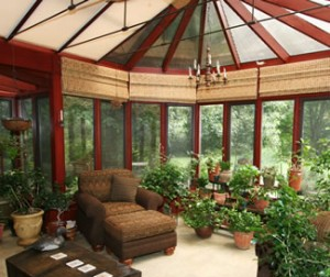 Wooden windows'
