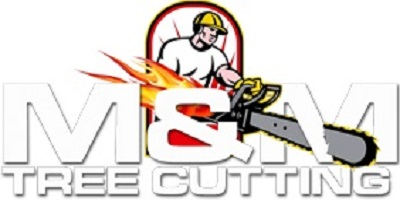 Company Logo For Discounted Tree Cutting and Removal Company'