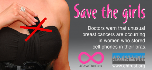 Save The Girls Banner'