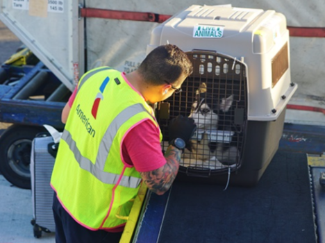 Company Logo For Pet Express'