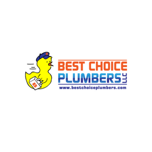 Company Logo For Plumbing Columbia'