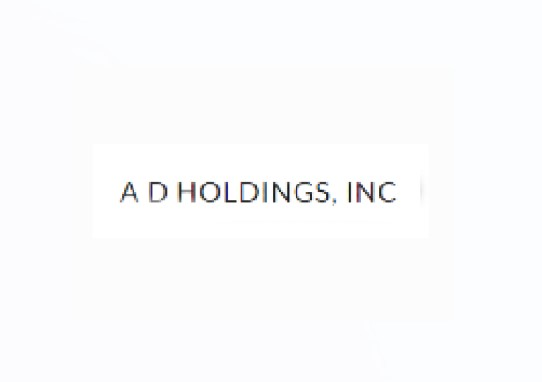 A D Holdings Inc