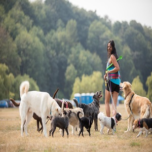 Company Logo For Pawz Unleashed'