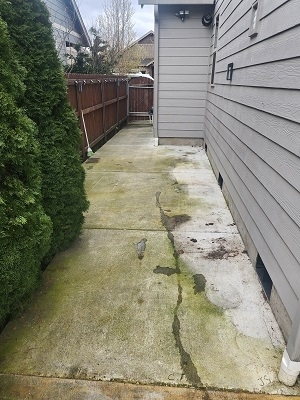 Company Image For Prime Softwash - Roof & Gutter Cle'