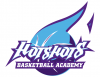 Company Logo For Hotshots Basketball Academy'