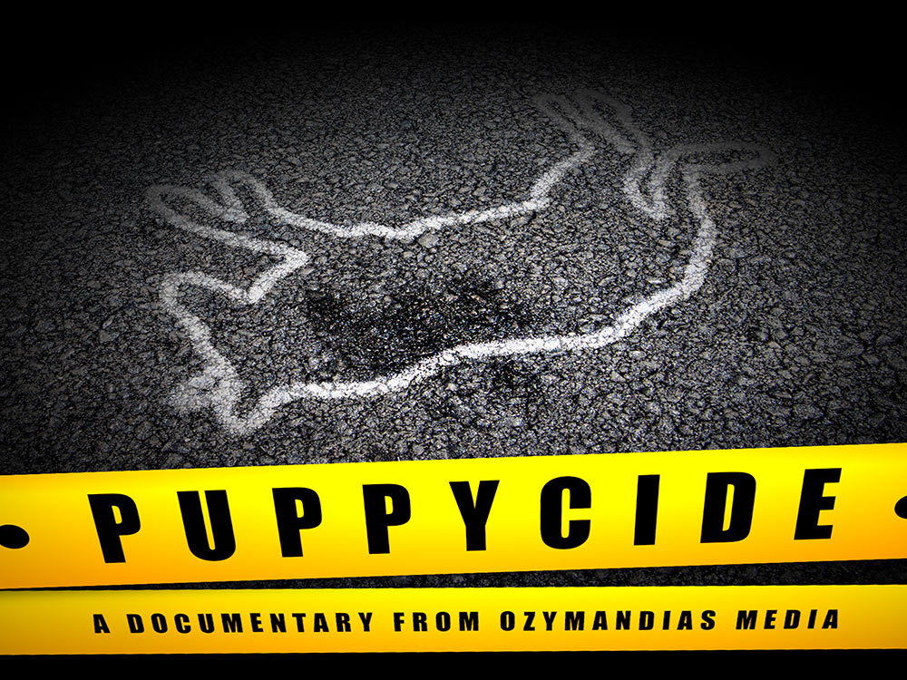 PUPPYCIDE: The Documentary'