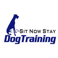 Sit Now Stay Dog Training Logo