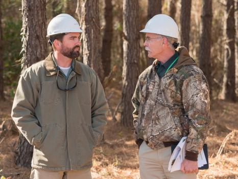 Company Image 2 For ArborGen Blenheim Nursery'