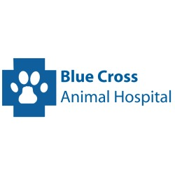 Company Logo For Blue Cross Animal Hospital'