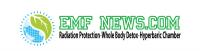 EMFNEWS.COM Logo
