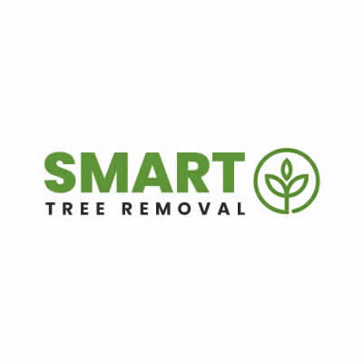 Company Logo For Smart Tree Removal Brisbane'