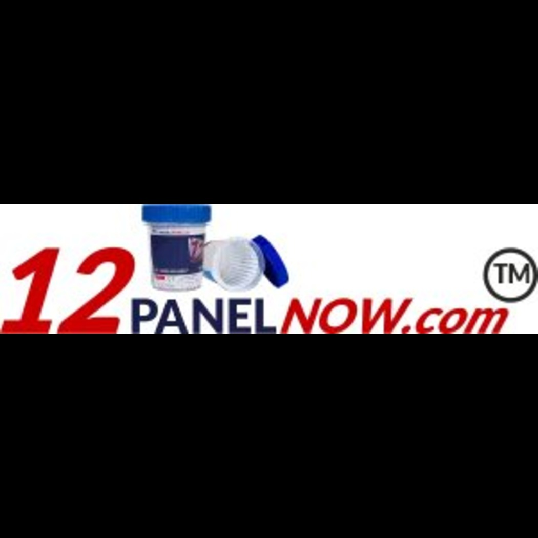 Company Logo For 12 Panel Now'