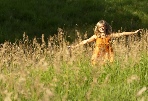 Company Logo For Climate Systems'