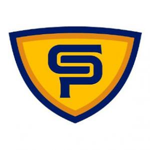 Company Logo For The Problem Solvers'