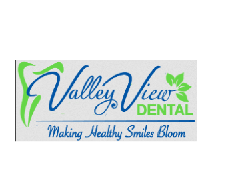 Company Logo For Valley View Dental'