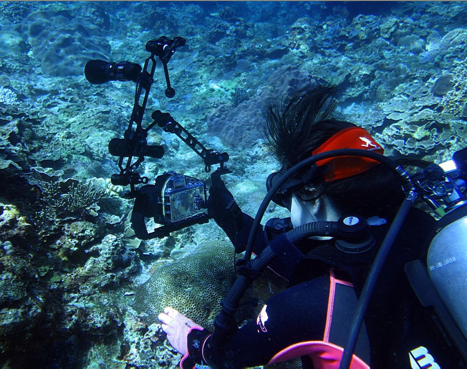 underwater housing sony nex 5r'