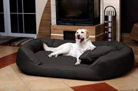 Dog Bed Market