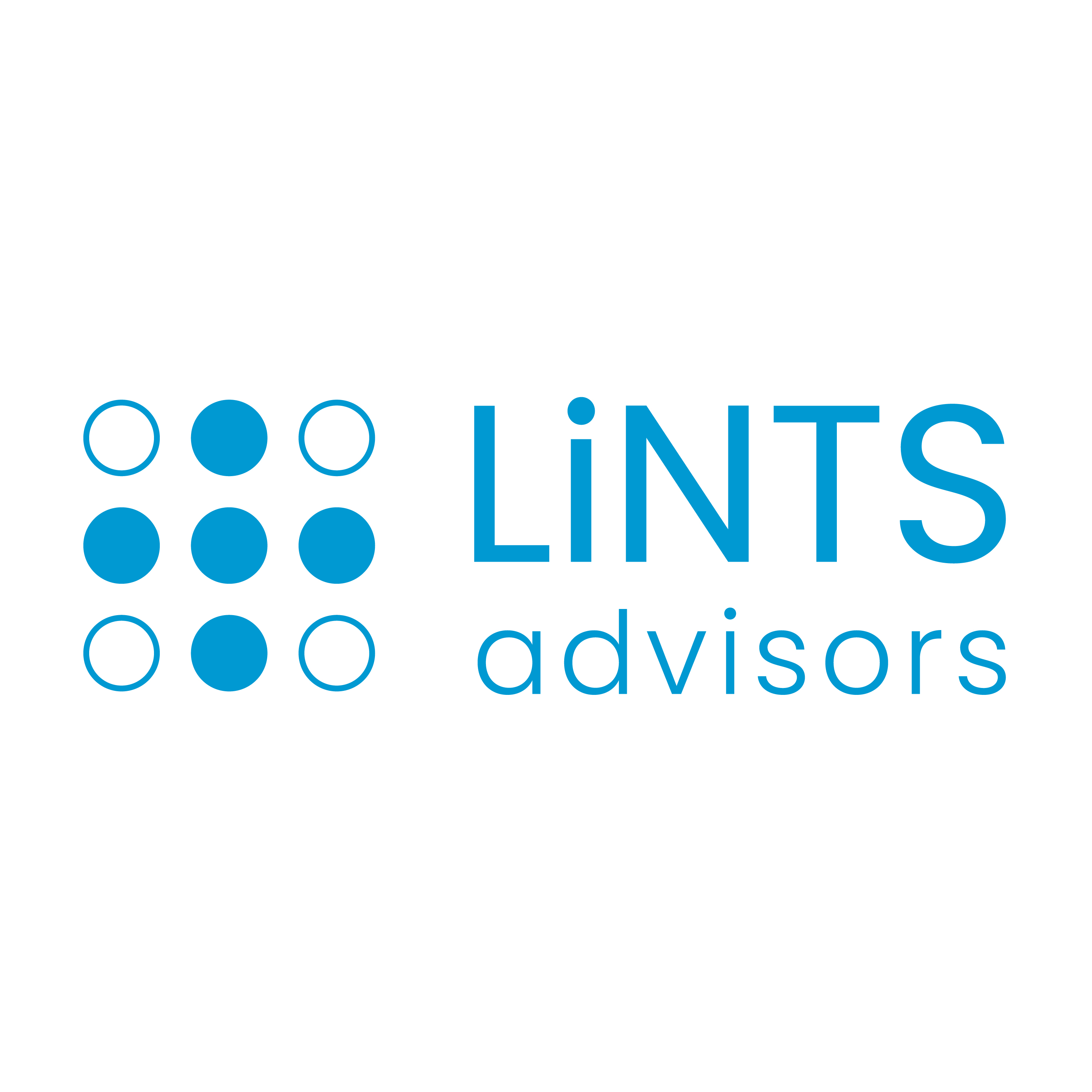 Company Logo For Lints Advisors -Outsourcing Accounting Serv'