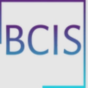 Company Logo For BC Investigative Services'