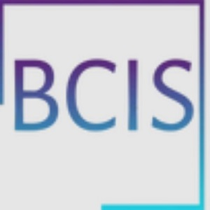 BC Investigative Services Logo