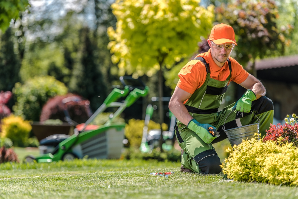 Company Logo For LandscapersSilverdale.co.nz'