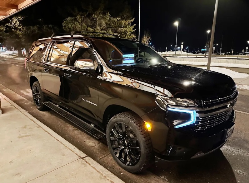 Company Logo For Treasure State Limo'